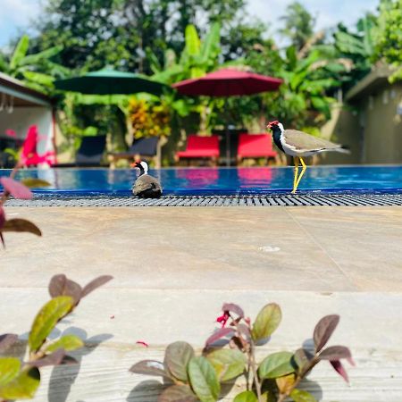 The Kingslayer Resort Негомбо Экстерьер фото
